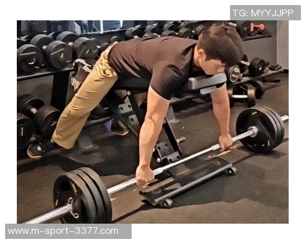 单臂哑铃划船的主要锻炼部位及其对肌肉发展的重要性分析